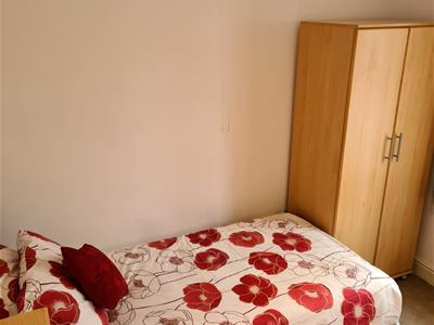 Picture 5
